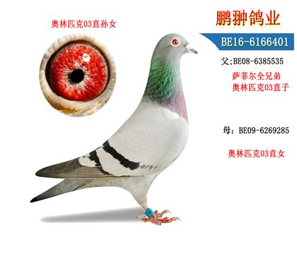 ĸչʾ