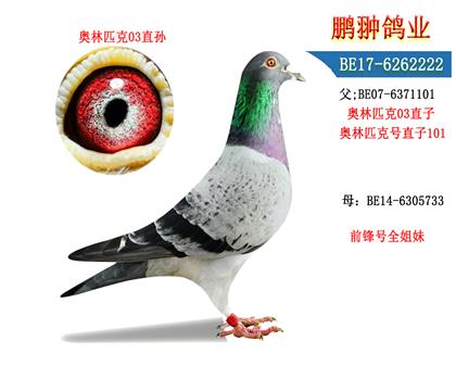 ĸչʾ