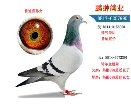 ĸչʾ