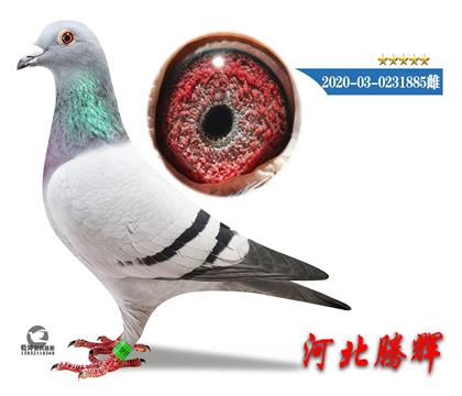 ĸ
