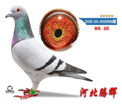 ĸ
