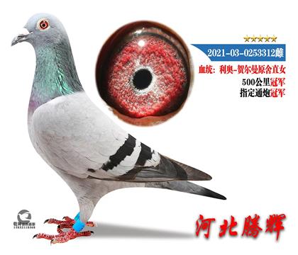 ĸ