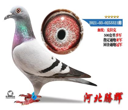 ɿ(j)
