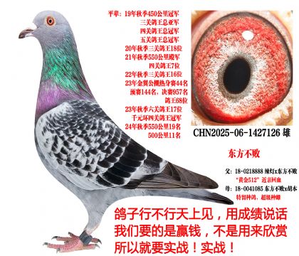 2025＾رȣع|8888ֱӣ