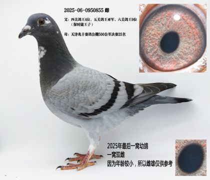2025Nr(sh)xQِ25