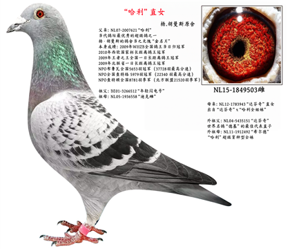 ĸH