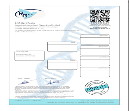DNA