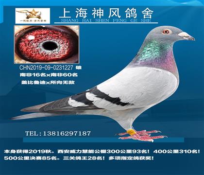⹫