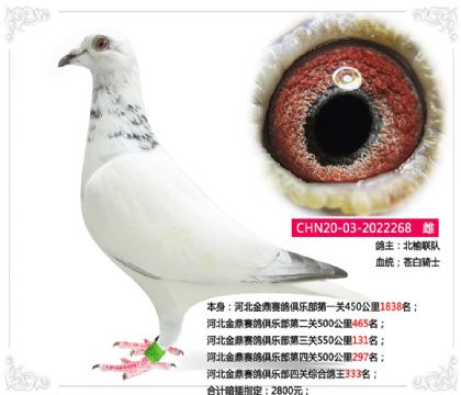 ӱِ㘷P(gun)C333   	