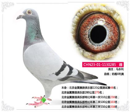 ِ㘷رȭh(hun)ڶP(gun)530103   	