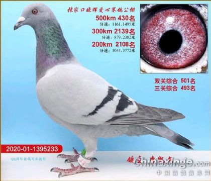 ҿڕxِ500Qِ430   	