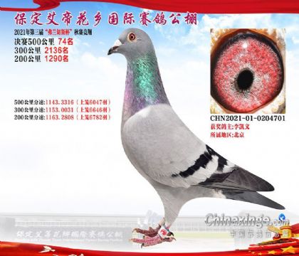 ٻl(xing)Hِ500Qِ74   	