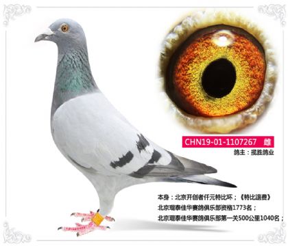 I(y)--̩Aِ㘷һP(gun)5001040