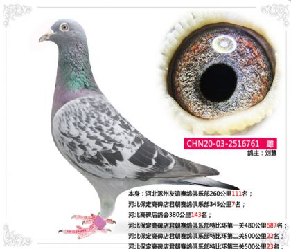 ӱِ߱㘷رȭh(hun)P(gun)50023