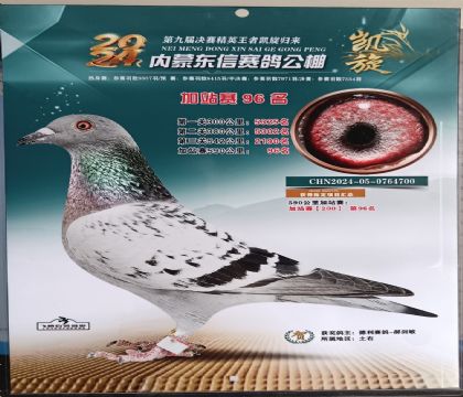 (ni)ɖ|ِ590160վِ96  	
