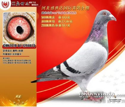 ҿʢ_(d)Hِ500Qِ103  	