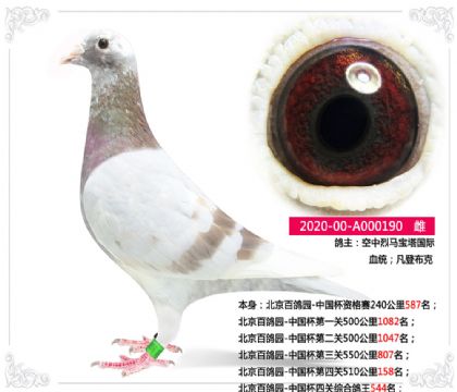 @-ЇP(gun)510158   	