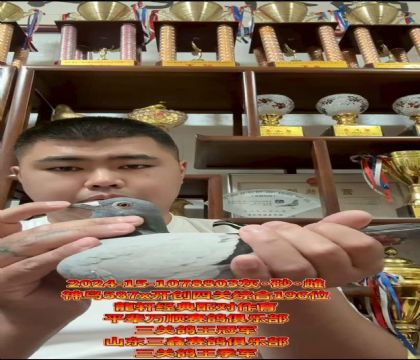 ܎B587X_(chung)P(gun)C196λ