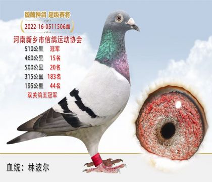 ֲ