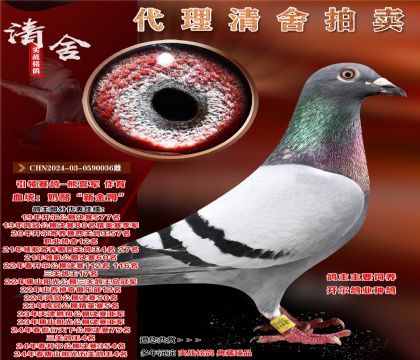 ҡ½ķ