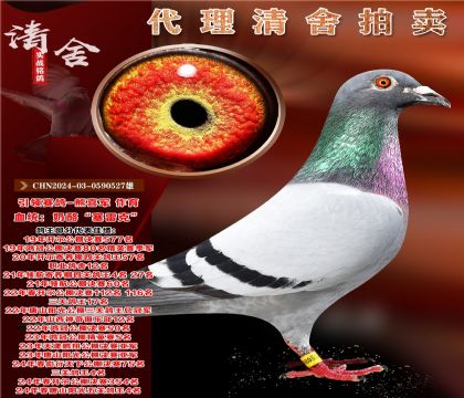 ҡ׿ˡ