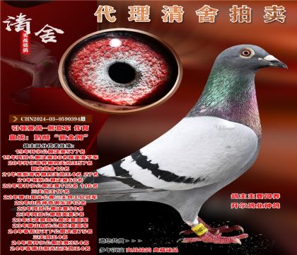 ҡ½ķ