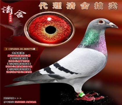 _ِͬ彩(jing)