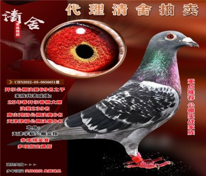 O]._69֮.(sh)(zhn).