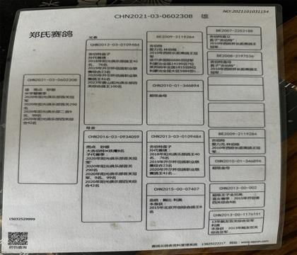 Ѫy(tng)(sh)