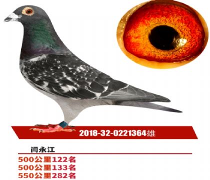 δ