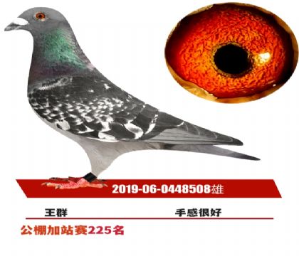 δ