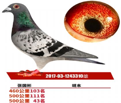 δ