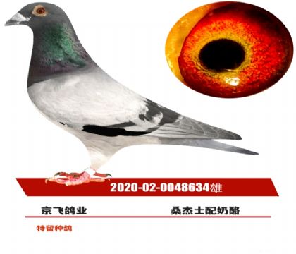 δ