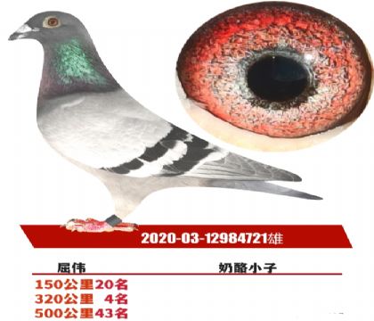 δ