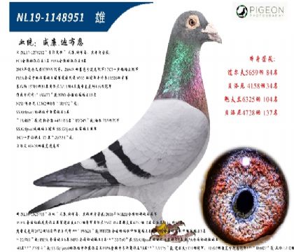 wȷǱԭᣨ_ܚWֱӣ