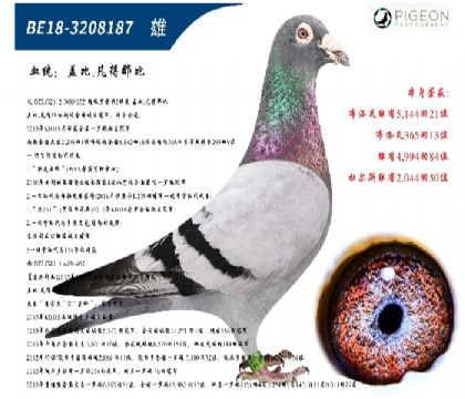 wȷǱԭᣨ_ܚWֱӣ
