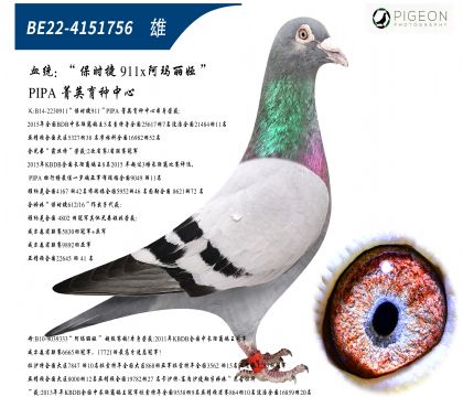 r911ֱ