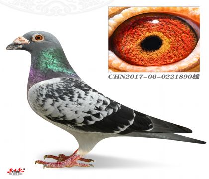 񴹤700O(zhn)ِ341