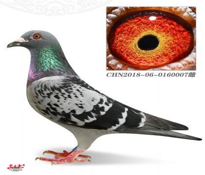 (j)ֱO50089