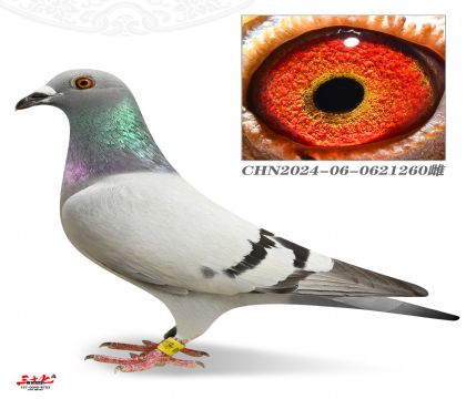 ƽِF(tun)(du)5500ɿ