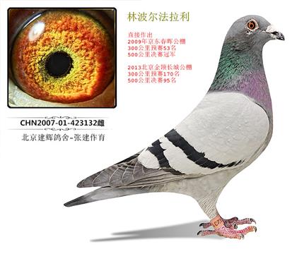 ĸH