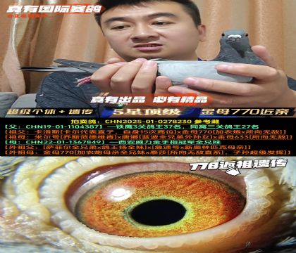 ĸ770HѪw+z