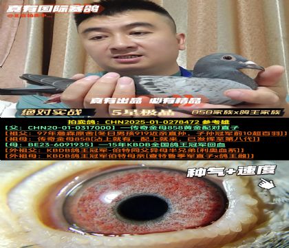 858(zhn)塷858xKBDB܊