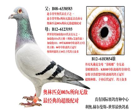 游