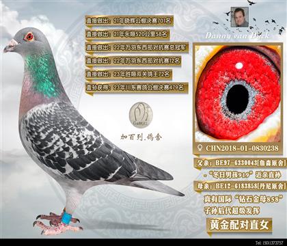 Hȫ