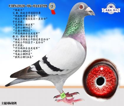 林波爾近親