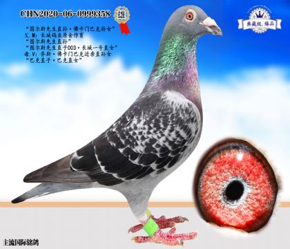 圖爾斯·佛卡門(mén)