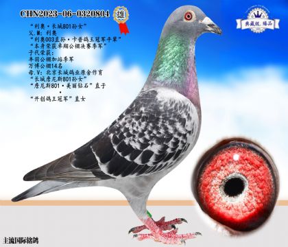 利奧·長(zhǎng)城801孫女