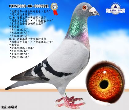 速霸龍第一黃金配對(duì)直子·直女