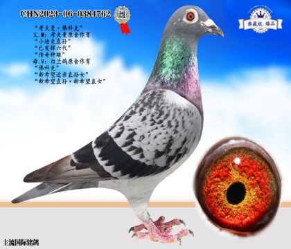 考夫曼·佛科克